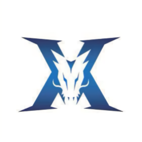 在比赛中 在比赛中